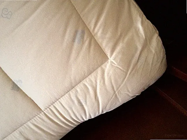 Certified Organic Cotton & Wool Mattress Pad Twin Full King Queen Sleep & Beyond